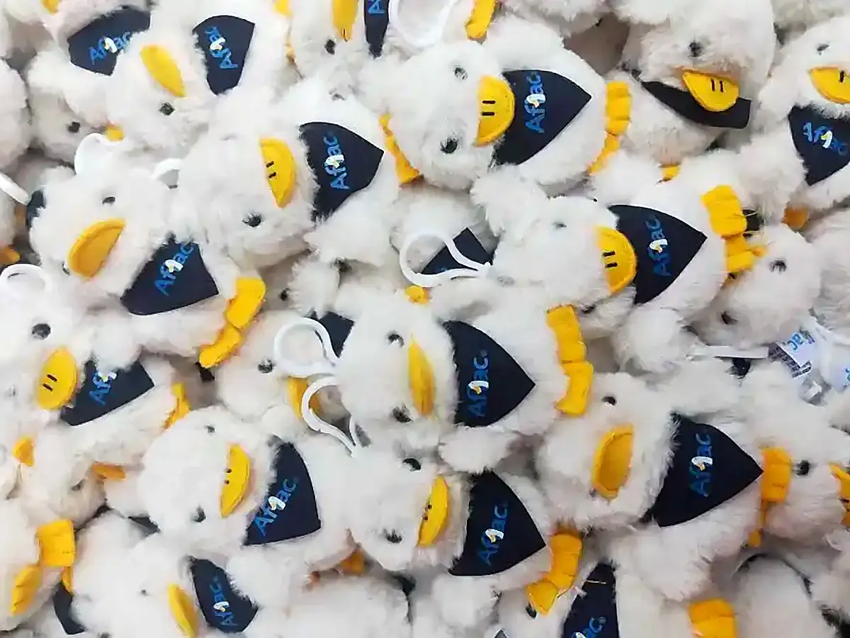 Sports & Mascots Application