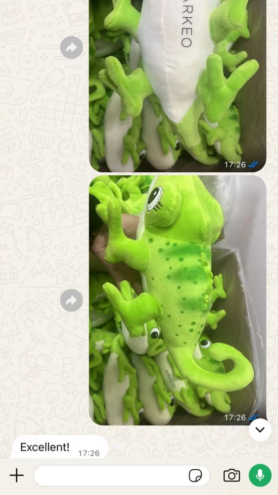 Chat history discussing packaging details