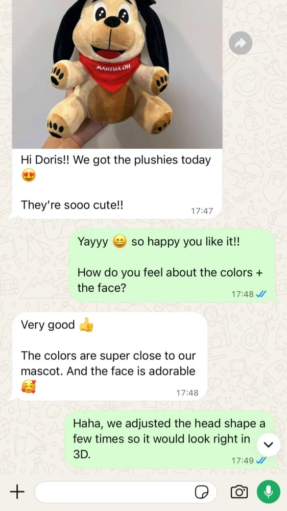Chat history showing sample confirmation